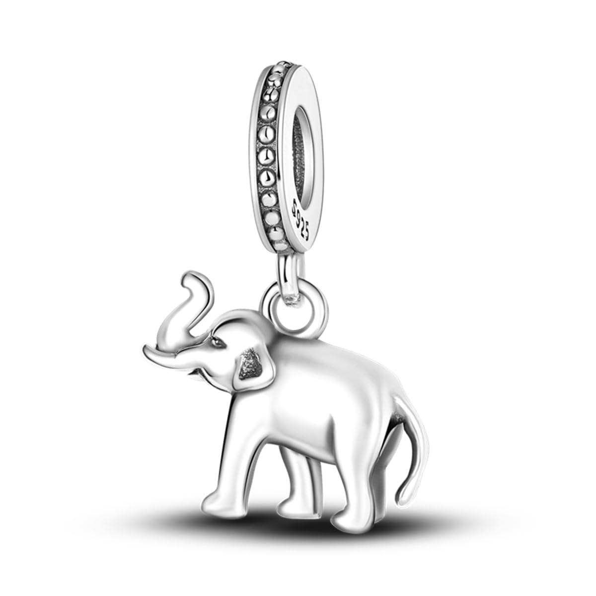 HONGRUI 925 Sterling Silver Charm for Women Bracelets and Necklace Fashion Bead Charms Clearance for Mother Daughter Sisters Friends Jewelry Gift